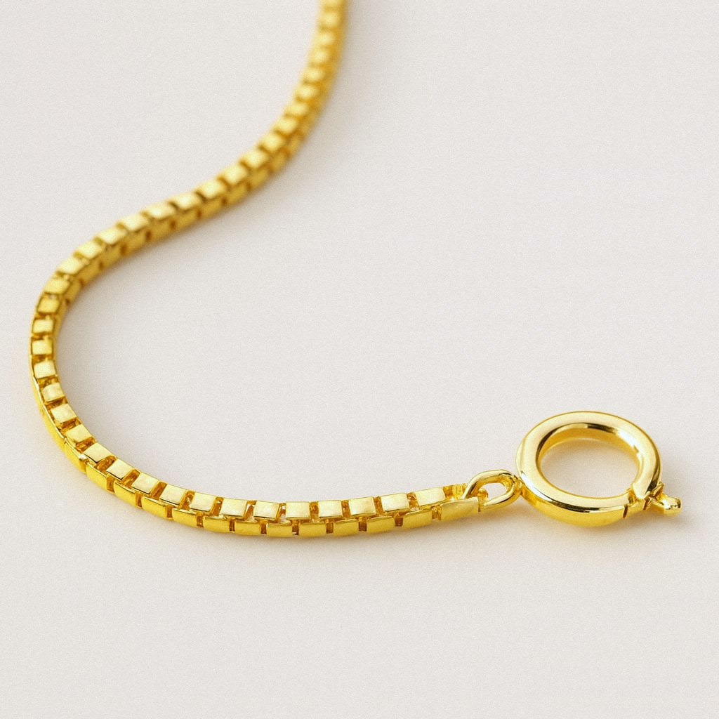 Gold box chain, close-up of the square links